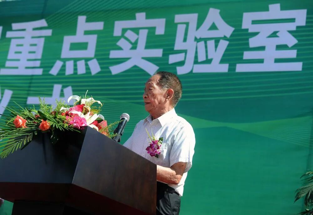 袁隆平创建的实验室里，稻子又长“高”了