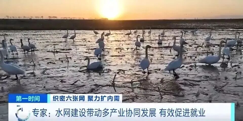 国家顶层部署“六张网”！第一张网，就在你我身边