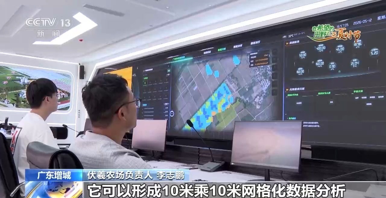 楼里种水稻,一年收四次 探访河套合作区里的室内“稻田” 楼里种水稻,一年收四次 探访河套合作区里的室内“稻田”