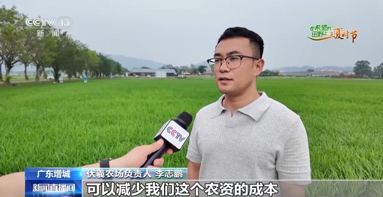 楼里种水稻,一年收四次 探访河套合作区里的室内“稻田” 楼里种水稻,一年收四次 探访河套合作区里的室内“稻田”
