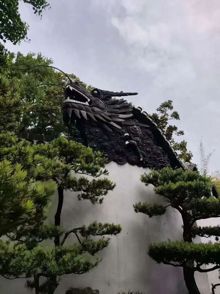 上海豫园一只三花猫火了!从流浪猫到“正式入编”,它每天准时第一个“上班” 上海豫园一只三花猫火了!从流浪猫到“正式入编”,它每天准时第一个“上班”