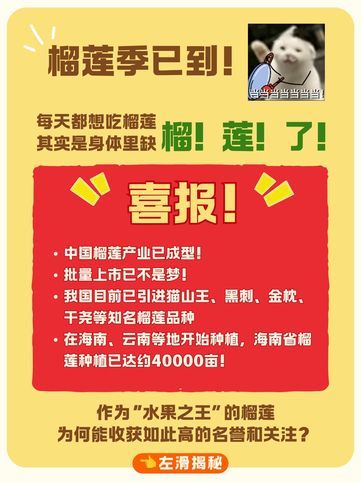 选榴莲别瞎“摸”！内行都看这几个部位