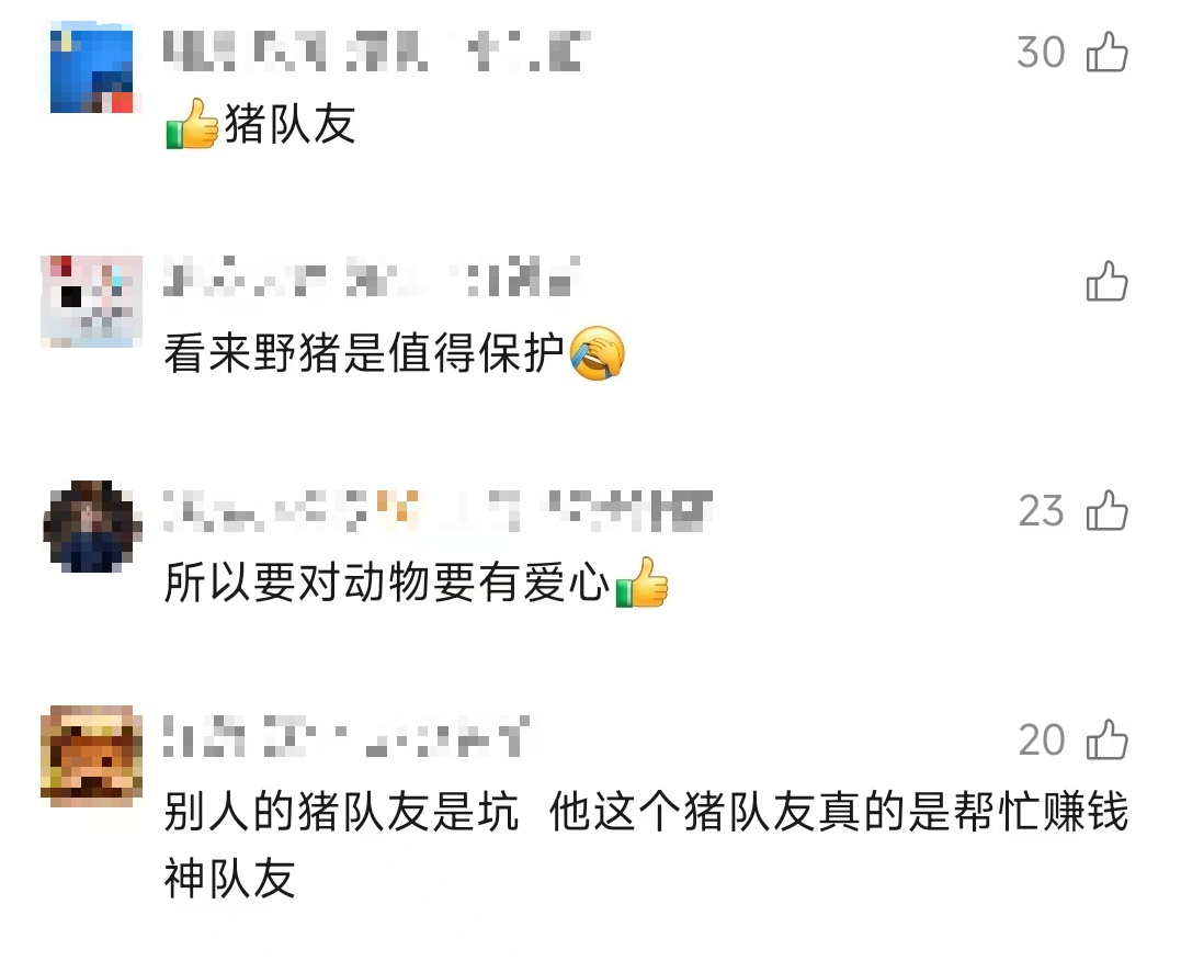 男子救下悬崖跌落的野猪后,"猪队友"每年为他创收12万元 男子救下悬崖跌落的野猪后,"猪队友"每年为他创收12万元