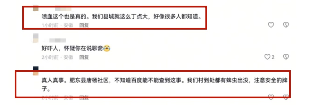 肥东“蜱虫咬死人”？造谣者刘某已被拘留