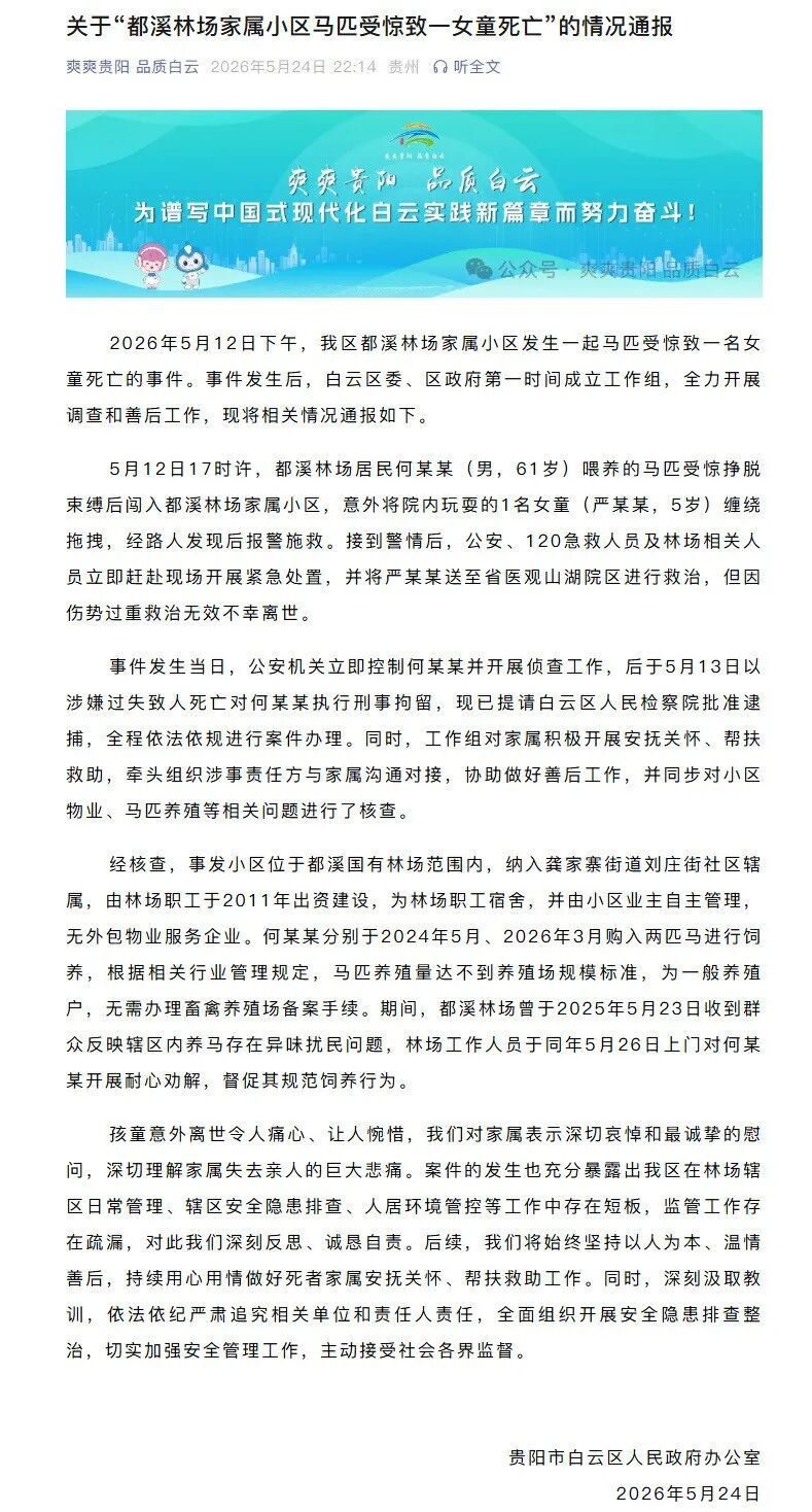官方通报“马匹受惊女童被缠绕拖拽致死”：何某某被刑拘，已提请批捕