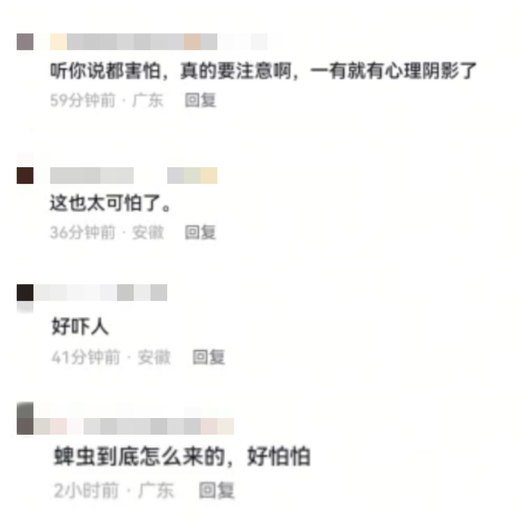 肥东“蜱虫咬死人”？造谣者刘某已被拘留