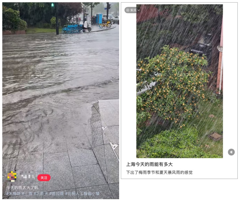 为什么感觉黏黏的、臭臭的？很多上海人这几天经常闻到，原因竟是……