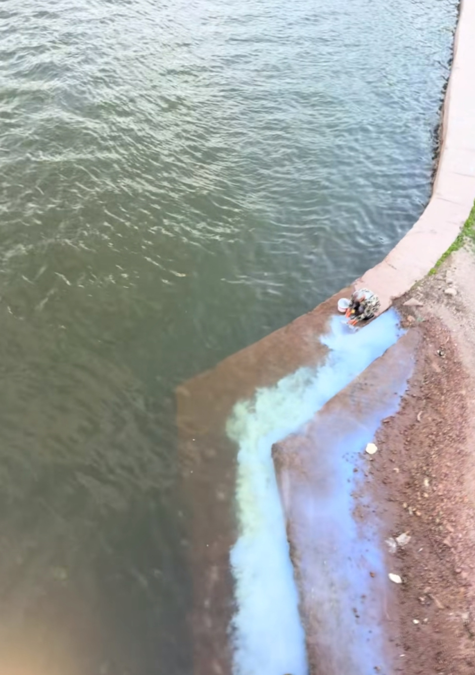 网友拍到大理一老人在洱海出水口洗乳胶漆染白河水，当地：正在调查，还未找到老人