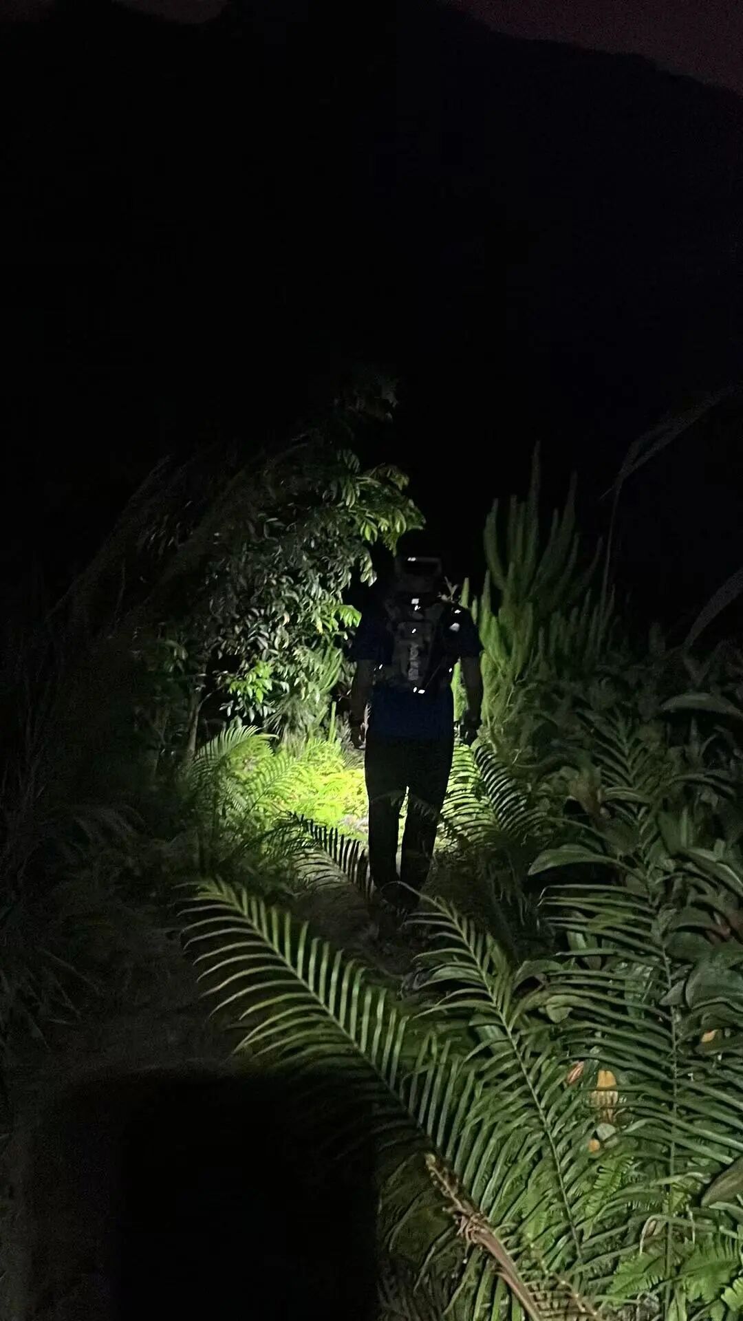 厦门一男子报警称在天竺山迷路,其实竟已爬到“天柱山”,密林中还有毒蛇,紧急救援! 厦门一男子报警称在天竺山迷路,其实竟已爬到“天柱山”,密林中还有毒蛇,紧急救援!