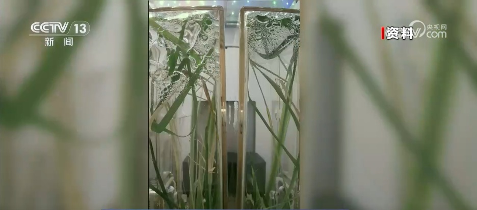 多项实（试）验、一年期驻留、多次出舱 看神二十三乘组到底有多忙？