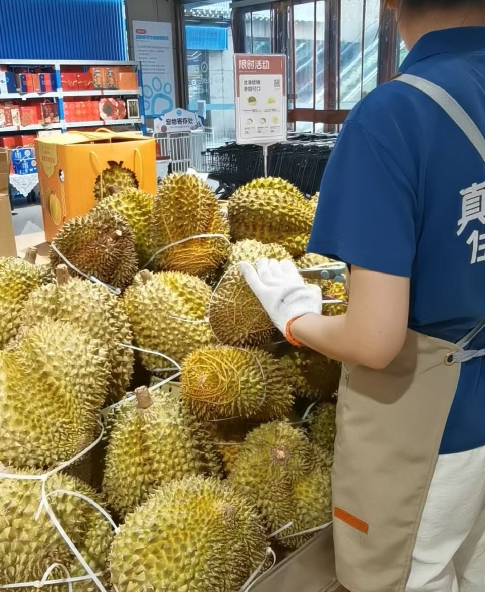 榴莲控狂喜!长沙榴莲进货量同比涨35%,批发价最低不到20元/斤 榴莲控狂喜!长沙榴莲进货量同比涨35%,批发价最低不到20元/斤