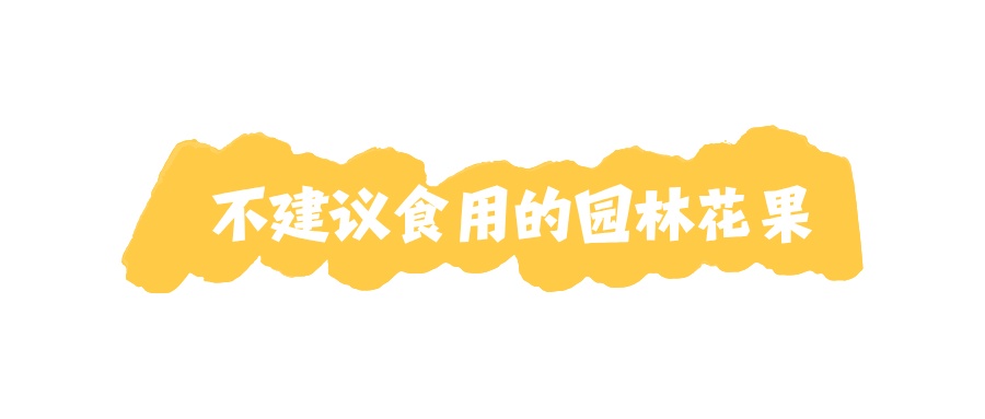 提醒!路边这些园林花果不能随便摘!小心吃进医院...... 提醒!路边这些园林花果不能随便摘!小心吃进医院......