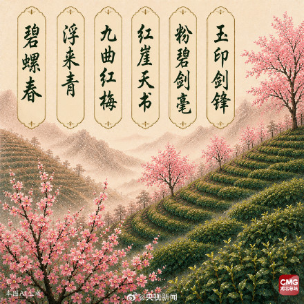 中国人有多会起名这些茶叶告诉你! 中国人有多会起名这些茶叶告诉你!