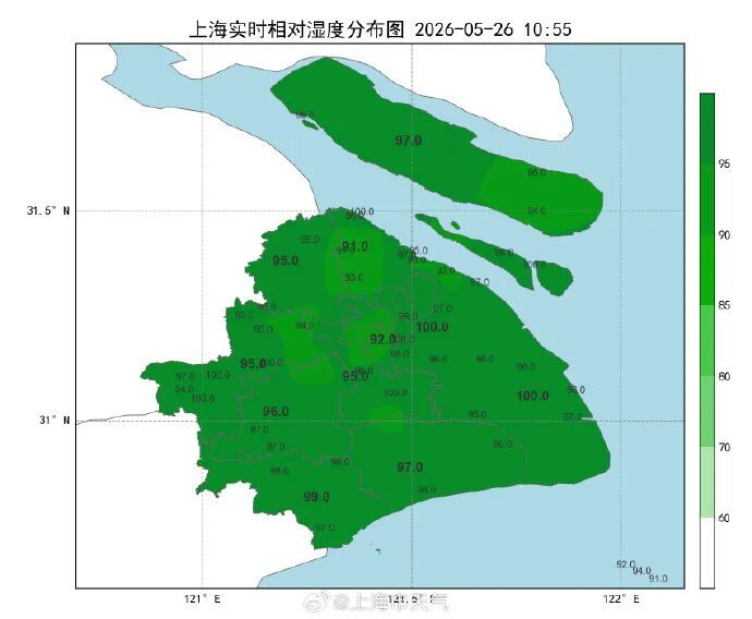 上海今日降水频繁，傍晚前仍有阵雨或雷雨！体感依然闷热，网友：没到黄梅，胜似黄梅