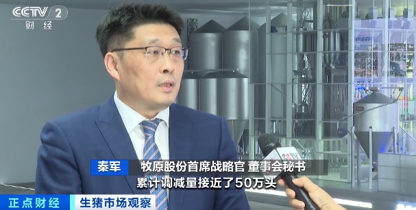 降降降！猪价跌至近10年低位！什么情况？