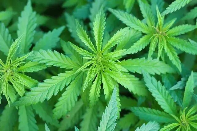 禁毒课没白上！小学生的“火眼金睛”立功了