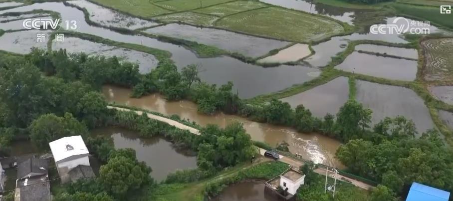 应对阴雨天气 小麦产区多措并举保收成