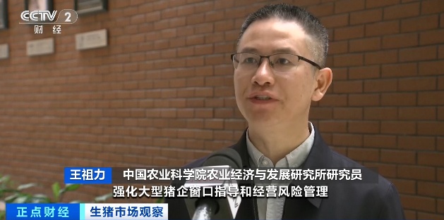 降降降！猪价跌至近10年低位！什么情况？