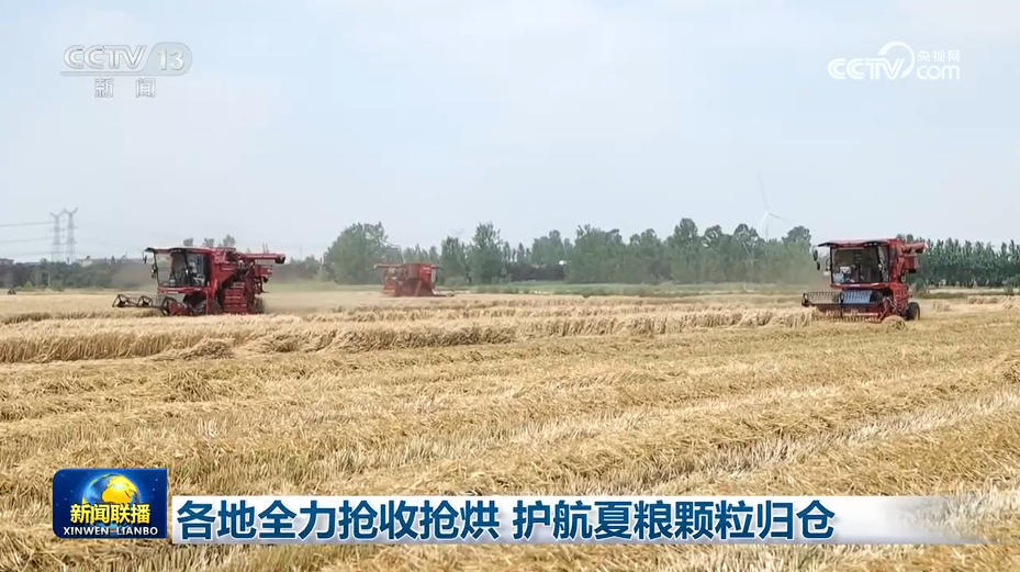 各地全力抢收抢烘 护航夏粮颗粒归仓 各地全力抢收抢烘 护航夏粮颗粒归仓