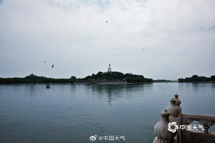 雨意渐浓 北海公园上演燕子低飞雨将至