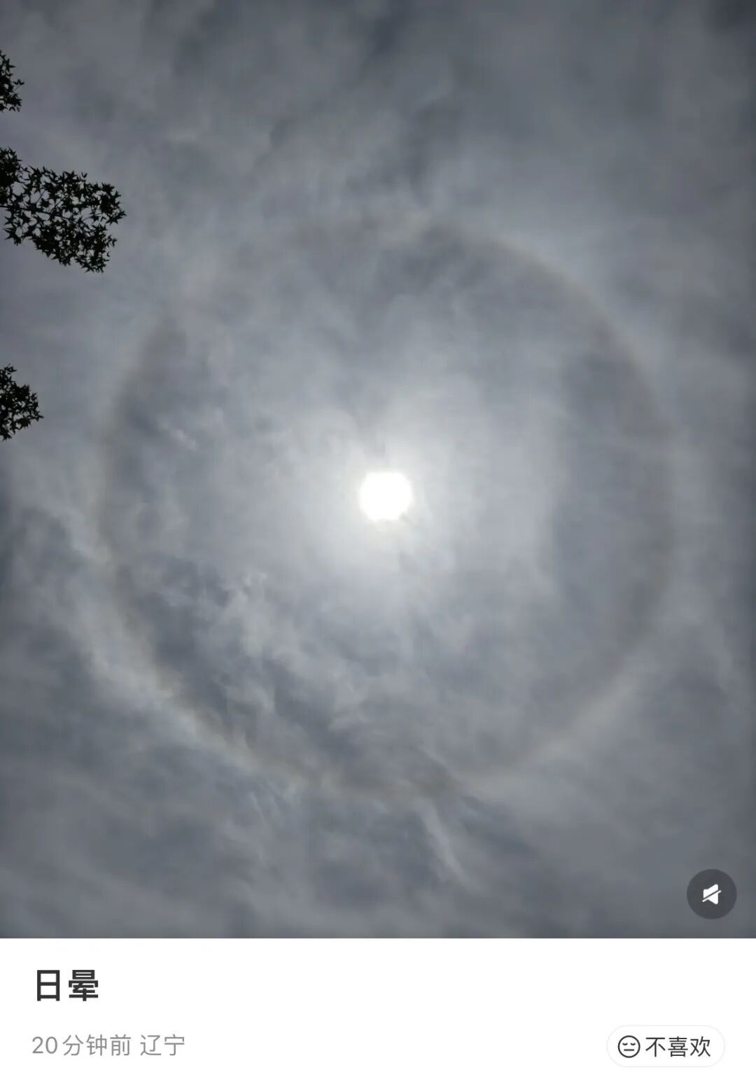 东北多地出现日晕奇观！太阳被彩色光环绕仿佛戴上“美瞳”