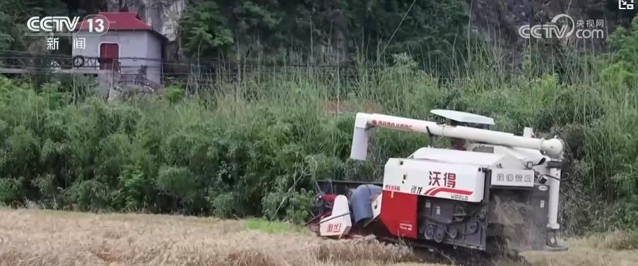 应对阴雨天气 小麦产区多措并举保收成