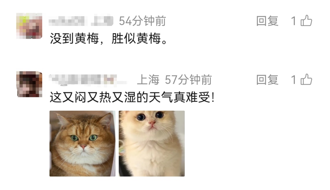 上海今日降水频繁，傍晚前仍有阵雨或雷雨！体感依然闷热，网友：没到黄梅，胜似黄梅