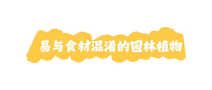 提醒!路边这些园林花果不能随便摘!小心吃进医院...... 提醒!路边这些园林花果不能随便摘!小心吃进医院......