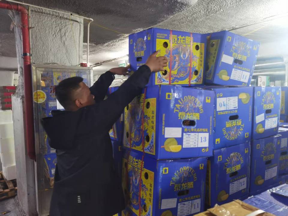 榴莲控狂喜!长沙榴莲进货量同比涨35%,批发价最低不到20元/斤 榴莲控狂喜!长沙榴莲进货量同比涨35%,批发价最低不到20元/斤