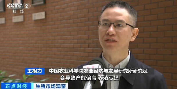降降降！猪价跌至近10年低位！什么情况？