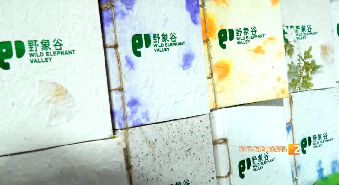 颠覆认知!西双版纳野象罕见一幕:主动进食象粪,专家揭秘背后硬核真相 颠覆认知!西双版纳野象罕见一幕:主动进食象粪,专家揭秘背后硬核真相