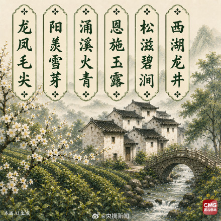 中国人有多会起名这些茶叶告诉你! 中国人有多会起名这些茶叶告诉你!