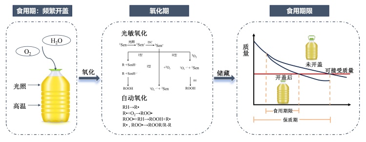 食用油“开封两个月变质”引热议 专家教你如何科学用油