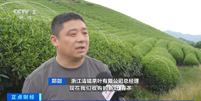 暴涨700%！全球爆单！又一新蓝海，来了