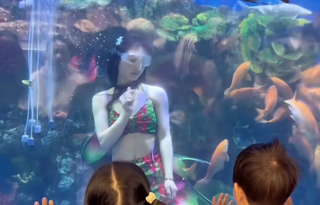 郑州一超市水族馆竟有美人鱼表演，店方：演员为超市员工，平时上班节假日兼职表演