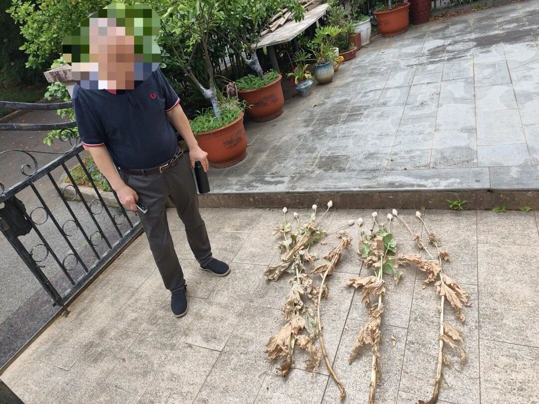 眼力满分！送餐路上一眼识毒，外卖小哥获奖