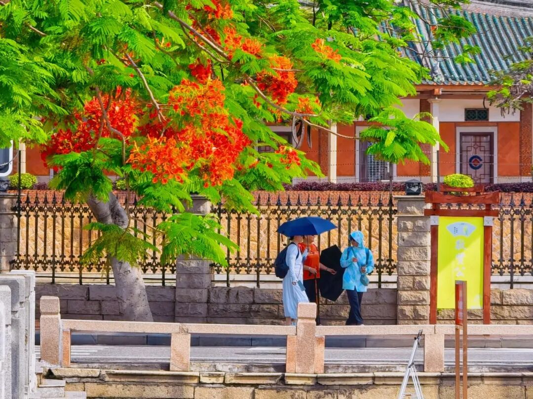 厦门高温预警持续生效！今年第6号台风“蔷薇”生成！降温时间就在→