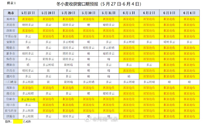 雨停了，天晴了，收麦了！河南今起升温，30℃+晴热天来了