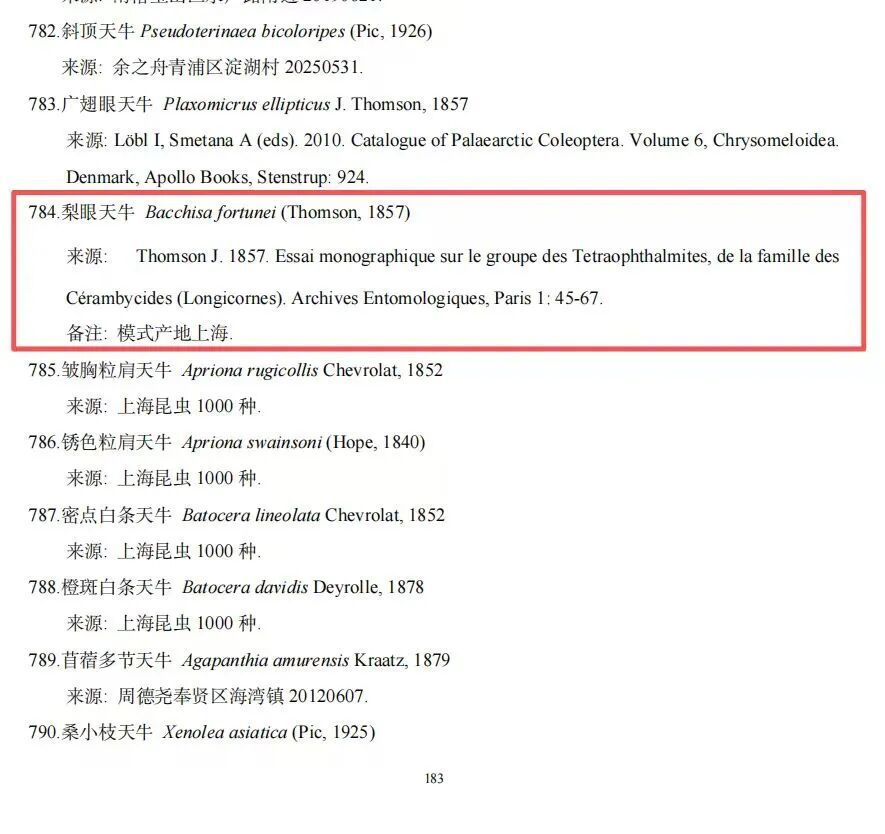 确认了！时隔30年，梨眼天牛重现上海