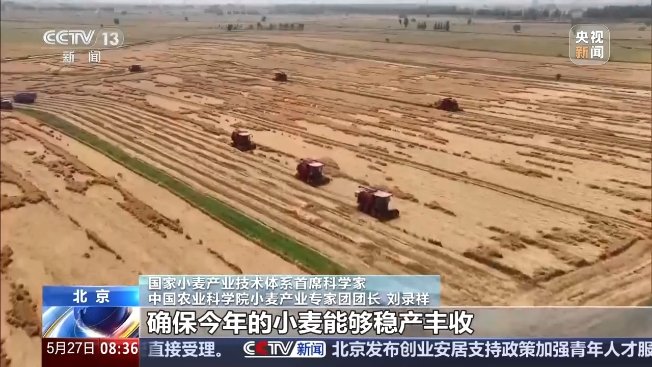 “三夏”抢收正值汛期,如何科学开展“龙口夺粮”? “三夏”抢收正值汛期,如何科学开展“龙口夺粮”?