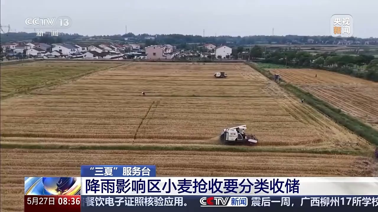 “三夏”抢收正值汛期,如何科学开展“龙口夺粮”? “三夏”抢收正值汛期,如何科学开展“龙口夺粮”?