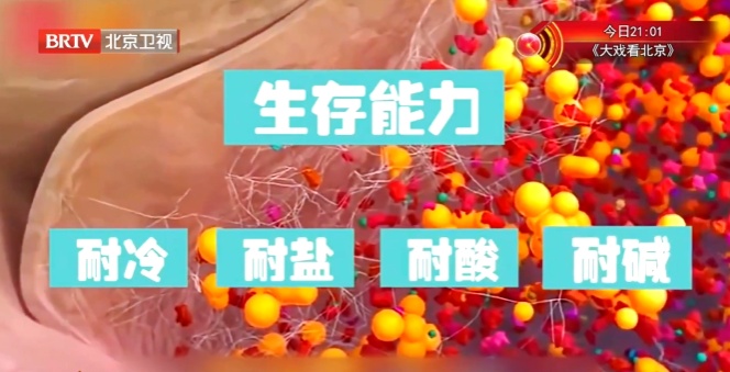 冰箱里藏着一种“嗜脑菌”，伤脑又毁身！很多人还不知道