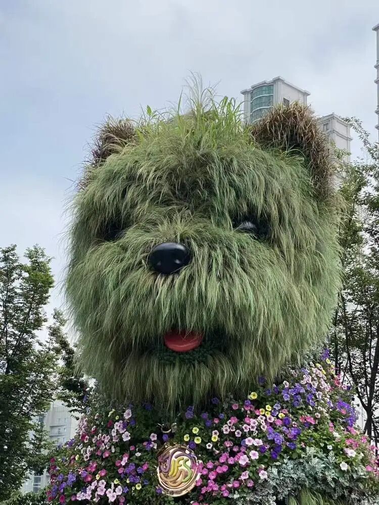 上海顶流今天将拥有正式名字!晨报记者:我当初为什么给它取名“潦草小狗” 上海顶流今天将拥有正式名字!晨报记者:我当初为什么给它取名“潦草小狗”