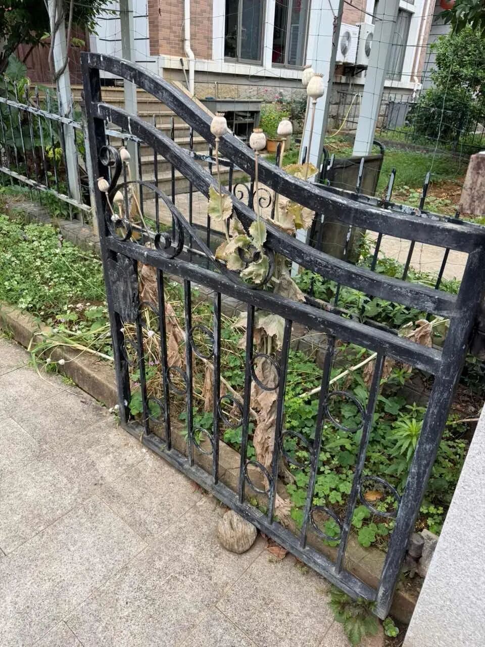 眼力满分！送餐路上一眼识毒，外卖小哥获奖