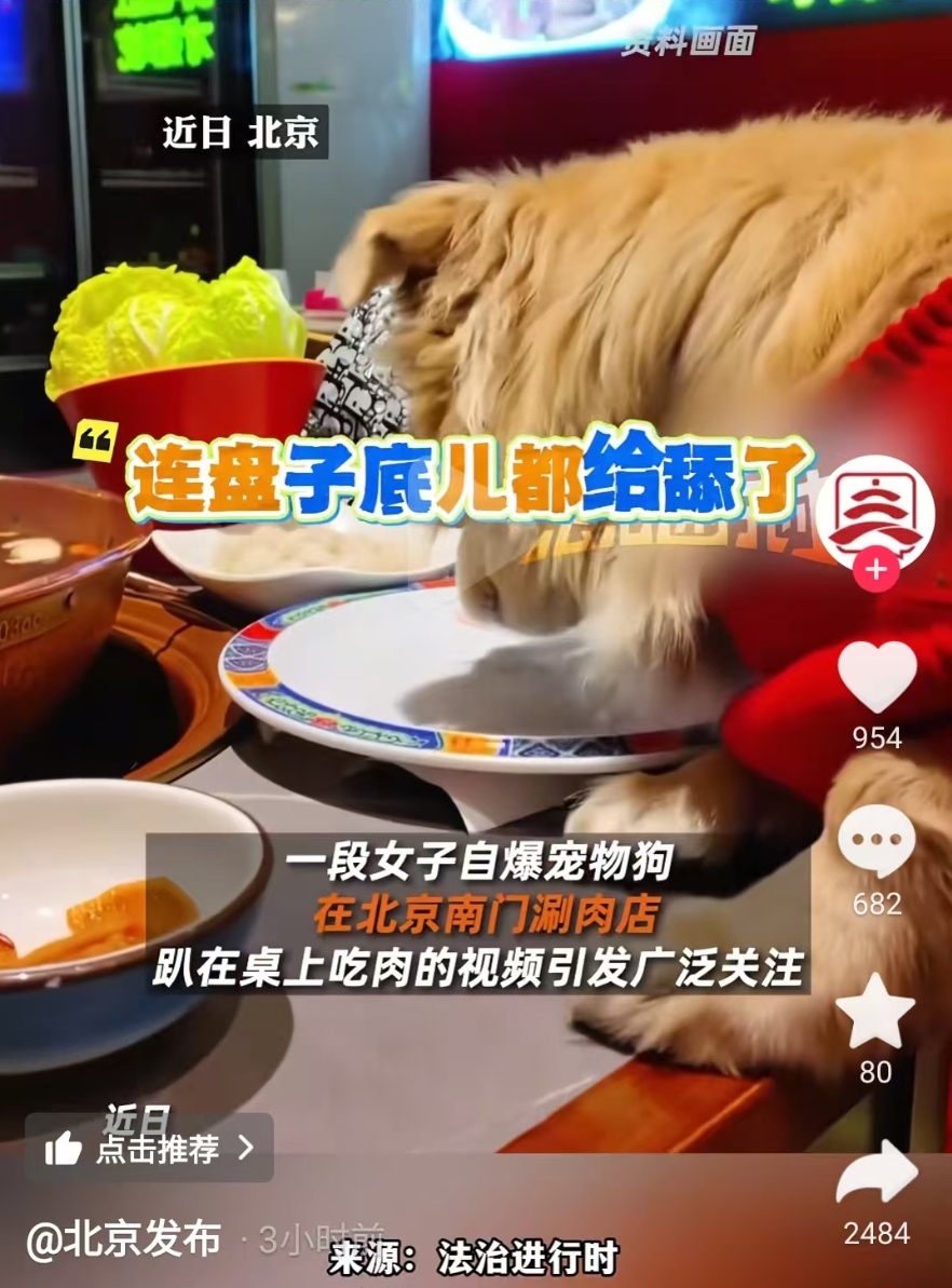 海底捞宣布:停止试点!网友热议 海底捞宣布:停止试点!网友热议