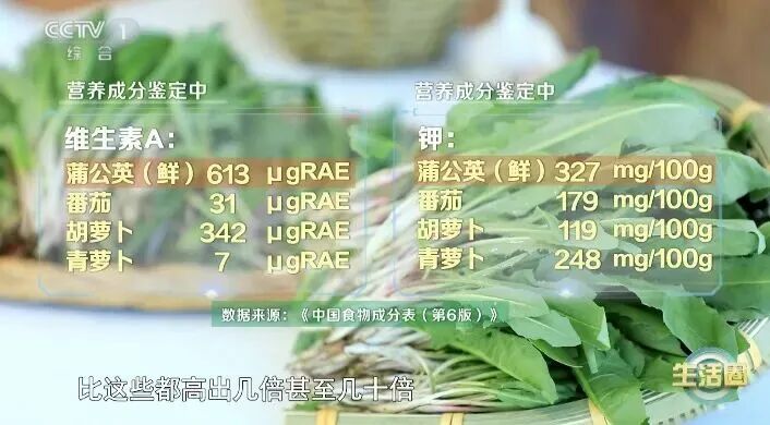 这种菜被称为“天然消炎药”,还有助于散结、护血管、保护肝脏,哪种吃法适合你? 这种菜被称为“天然消炎药”,还有助于散结、护血管、保护肝脏,哪种吃法适合你?
