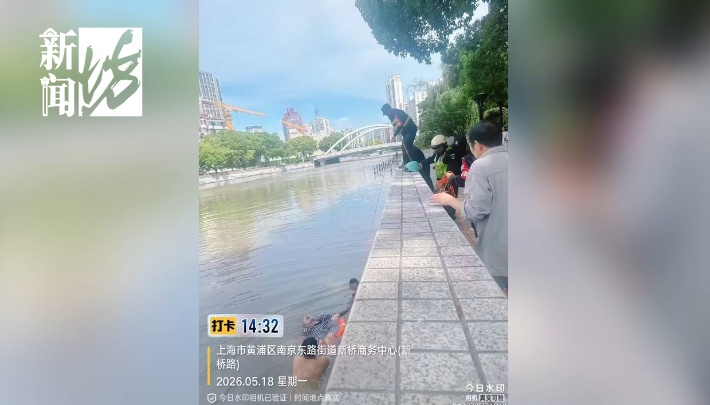 上海一老人掉进苏州河,男子故意狂绕一圈救人?理由让人赞叹! 上海一老人掉进苏州河,男子故意狂绕一圈救人?理由让人赞叹!