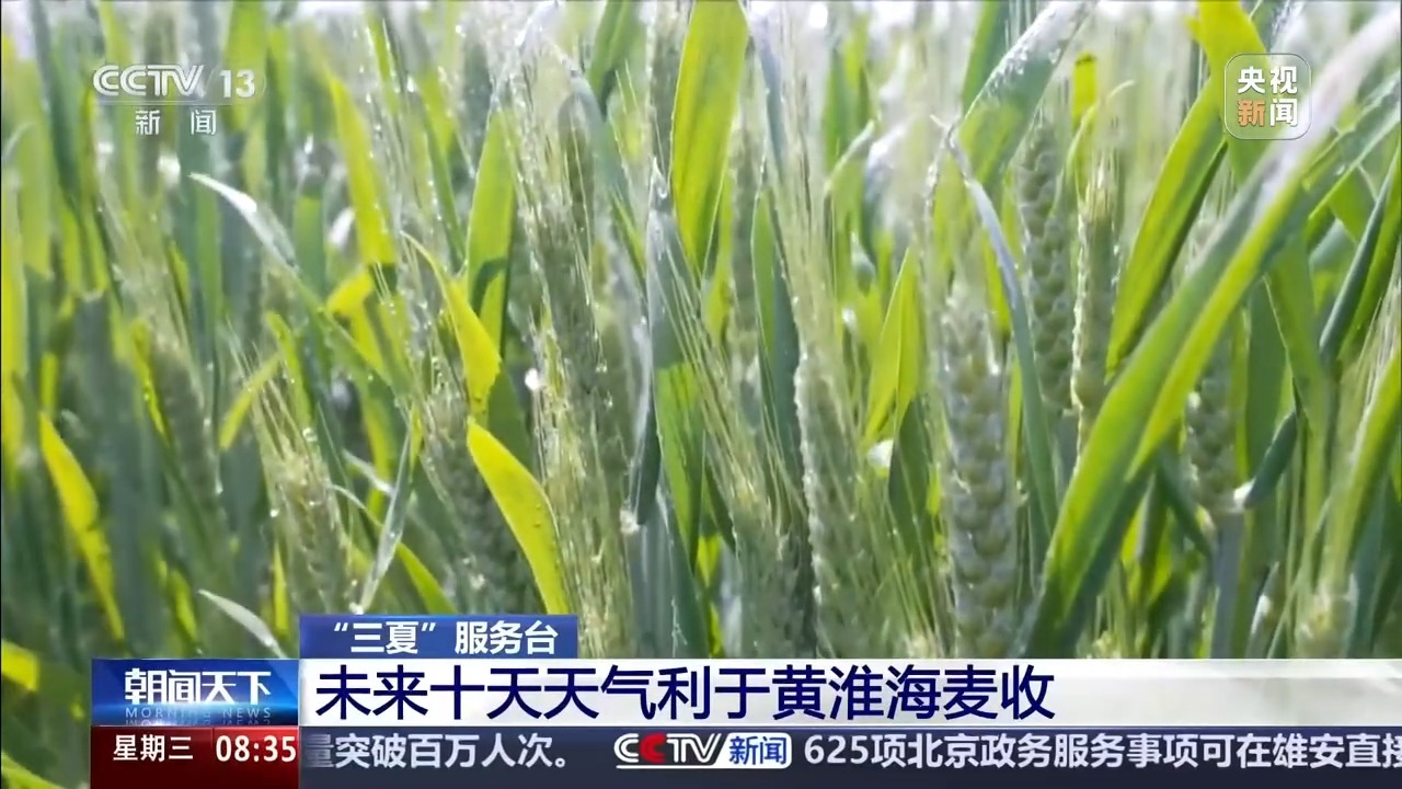 “三夏”抢收正值汛期,如何科学开展“龙口夺粮”? “三夏”抢收正值汛期,如何科学开展“龙口夺粮”?