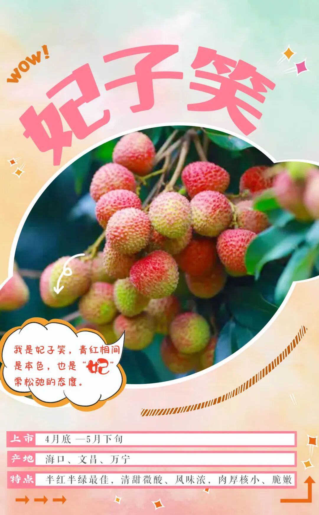 “荔枝控”狂喜！海南荔枝图鉴，来了→