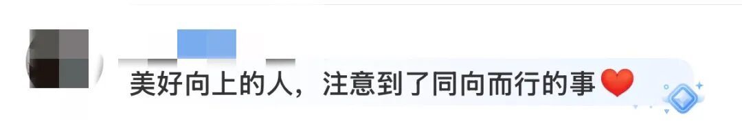 “感谢学校让拾荒老人进校”，毕业生论文致谢引关注